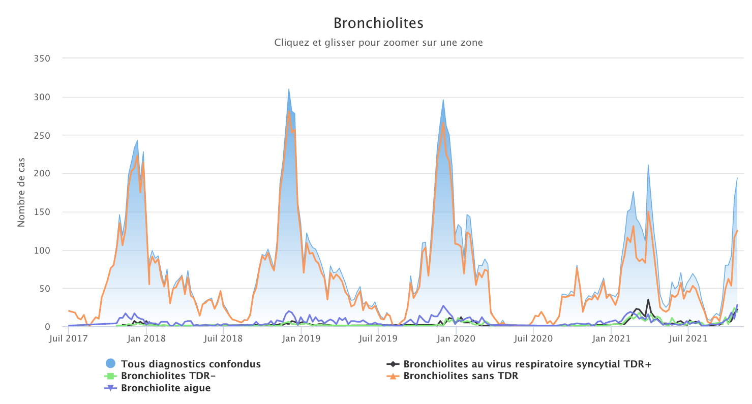 Bronchio 251021