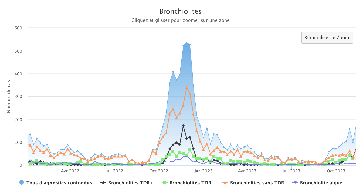 Bronciolites 131123