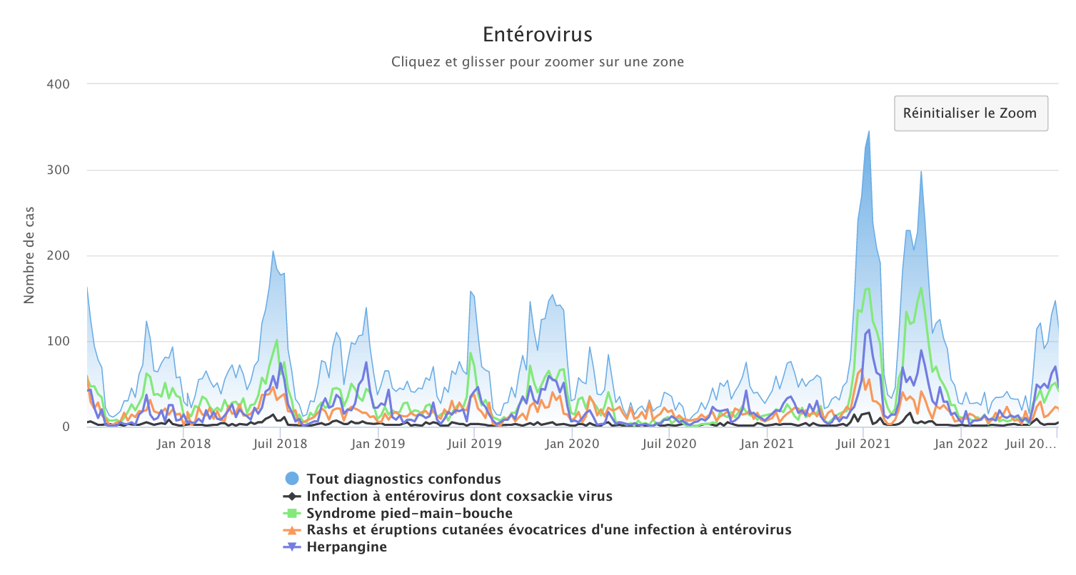 Entérovirus 040722