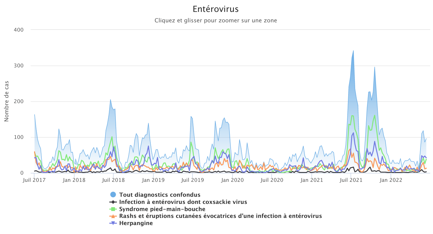 Entérovirus 130622