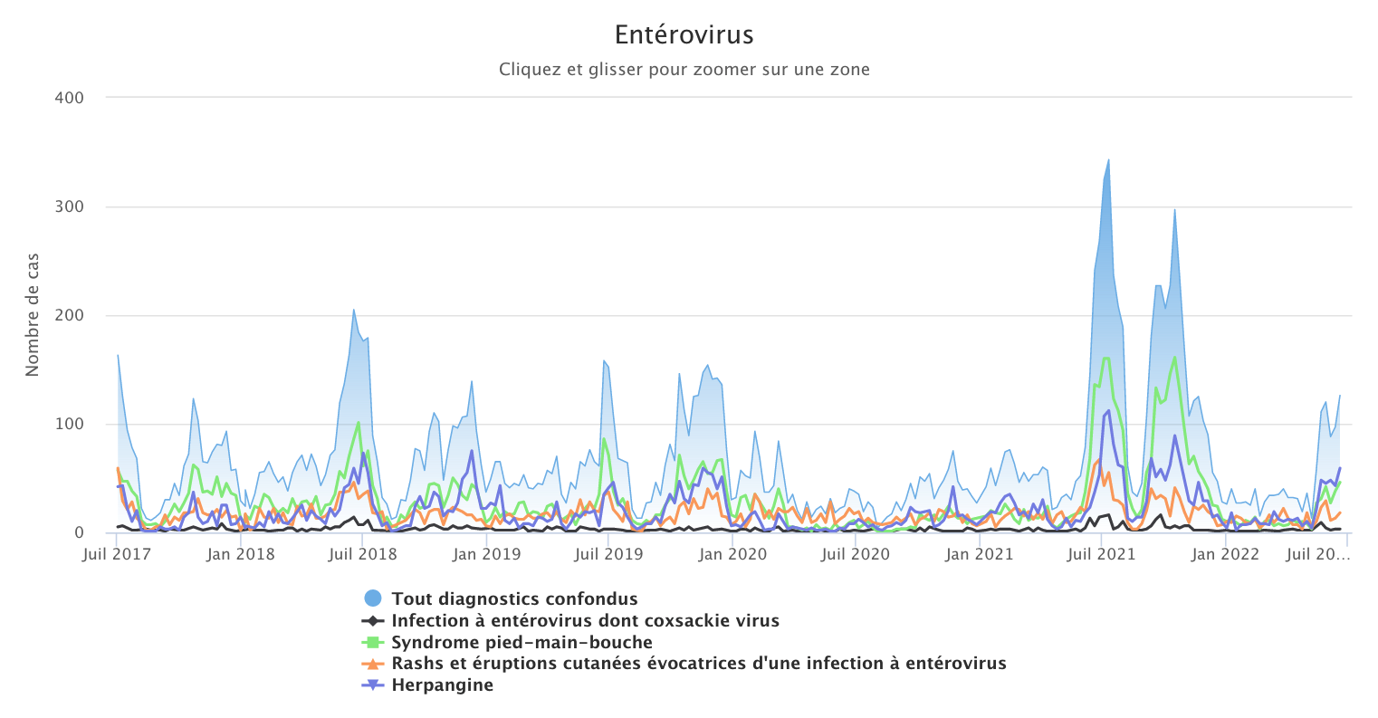 Entérovirus 200622