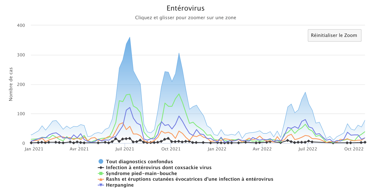 Enterovirus 241022