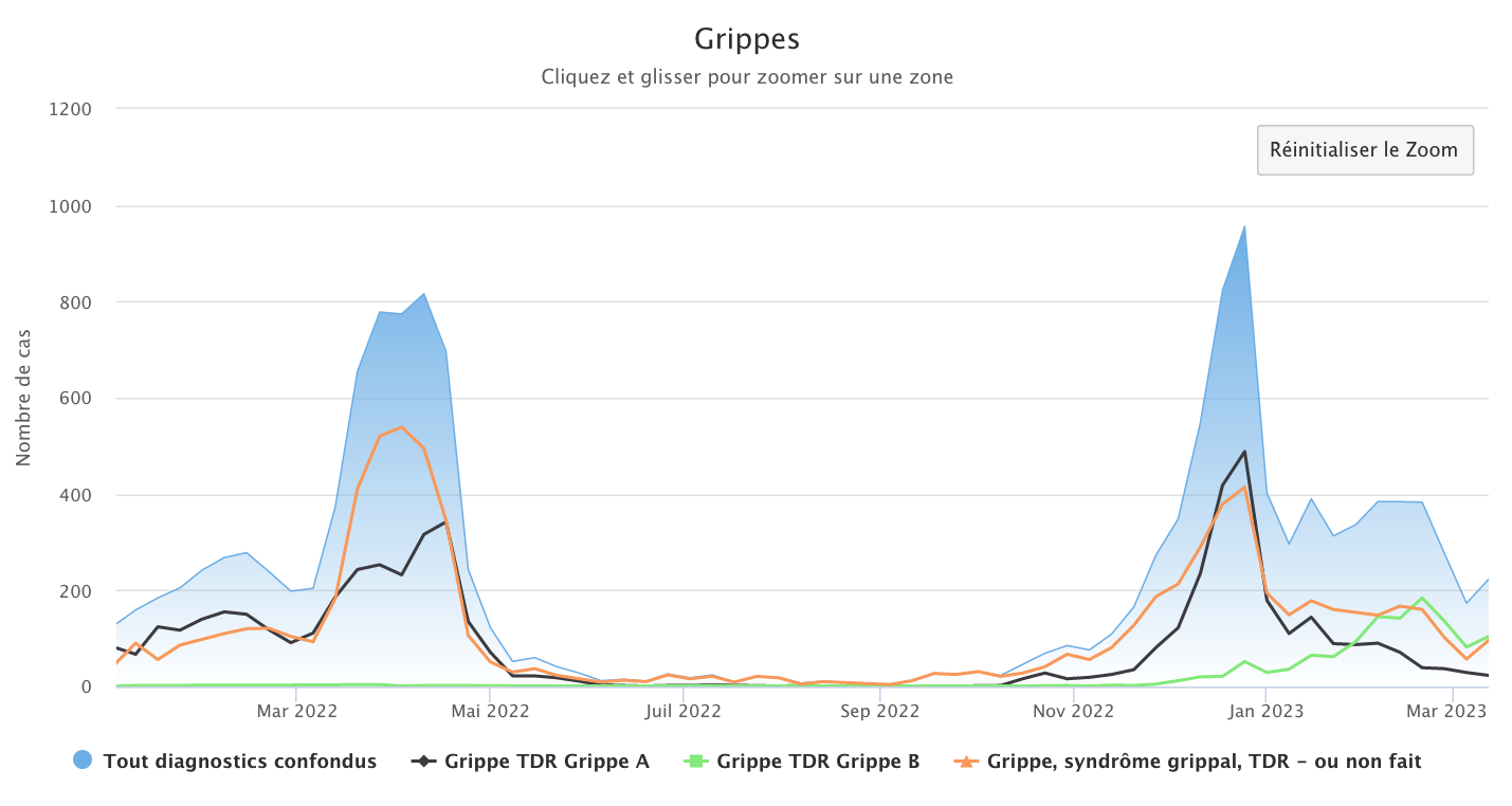 Grippe 130323