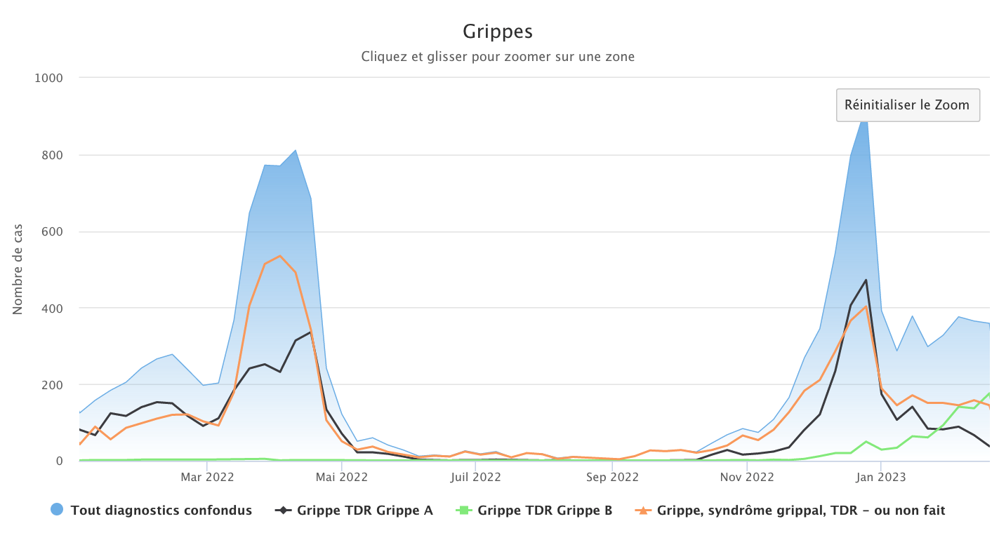 Grippe 200223