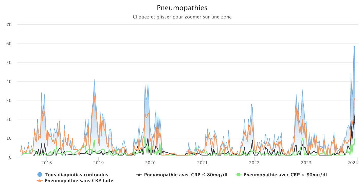 Pneumopathies 111223