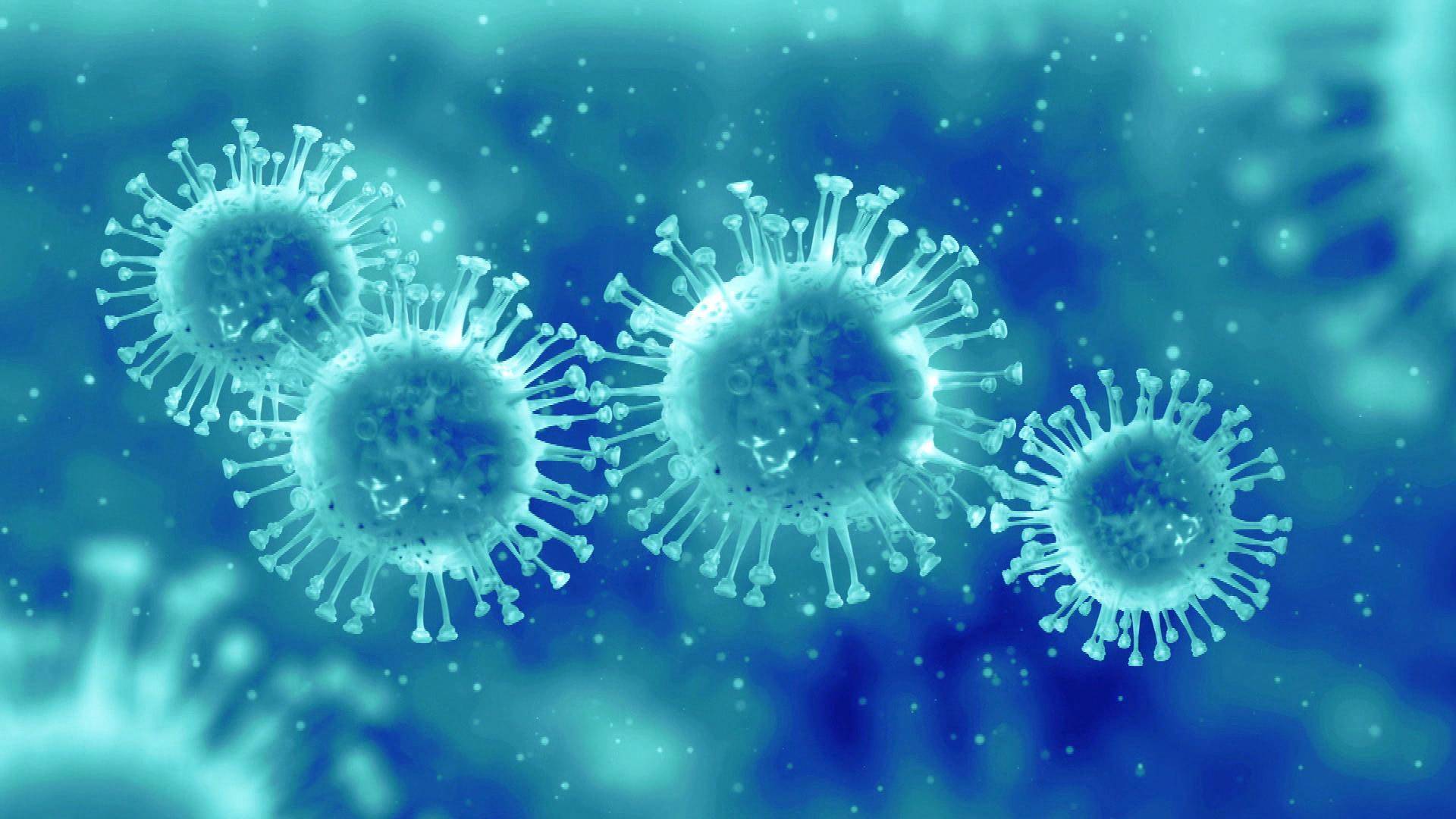 Bulletin Spécial Grippe 2022 : Foire aux Questions (FAQ)