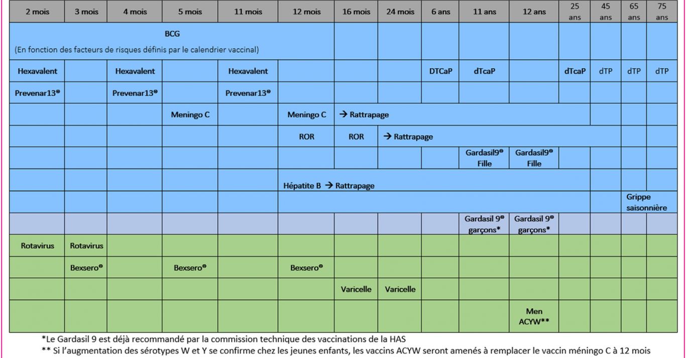 Calendrier vaccinal Infovac 2020 | Infovac France
