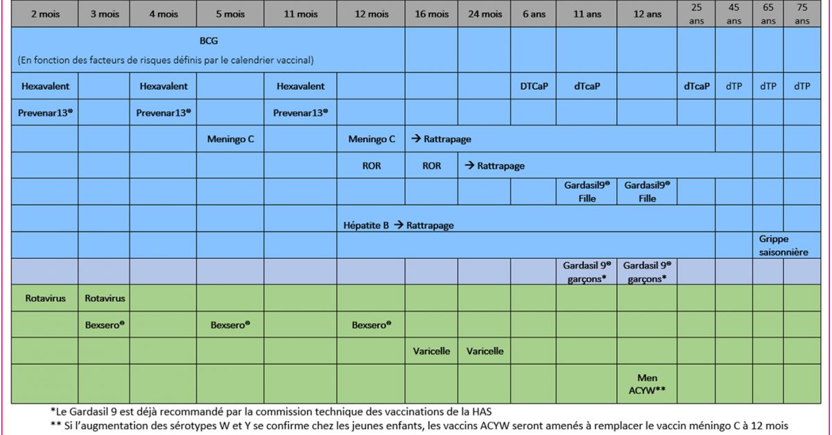 Calendrier vaccinal Infovac 2020