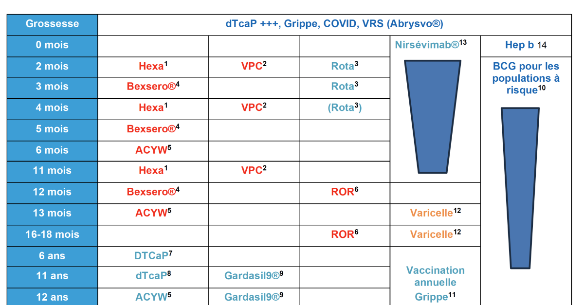 Calendrier vaccinal InfoVac 2024