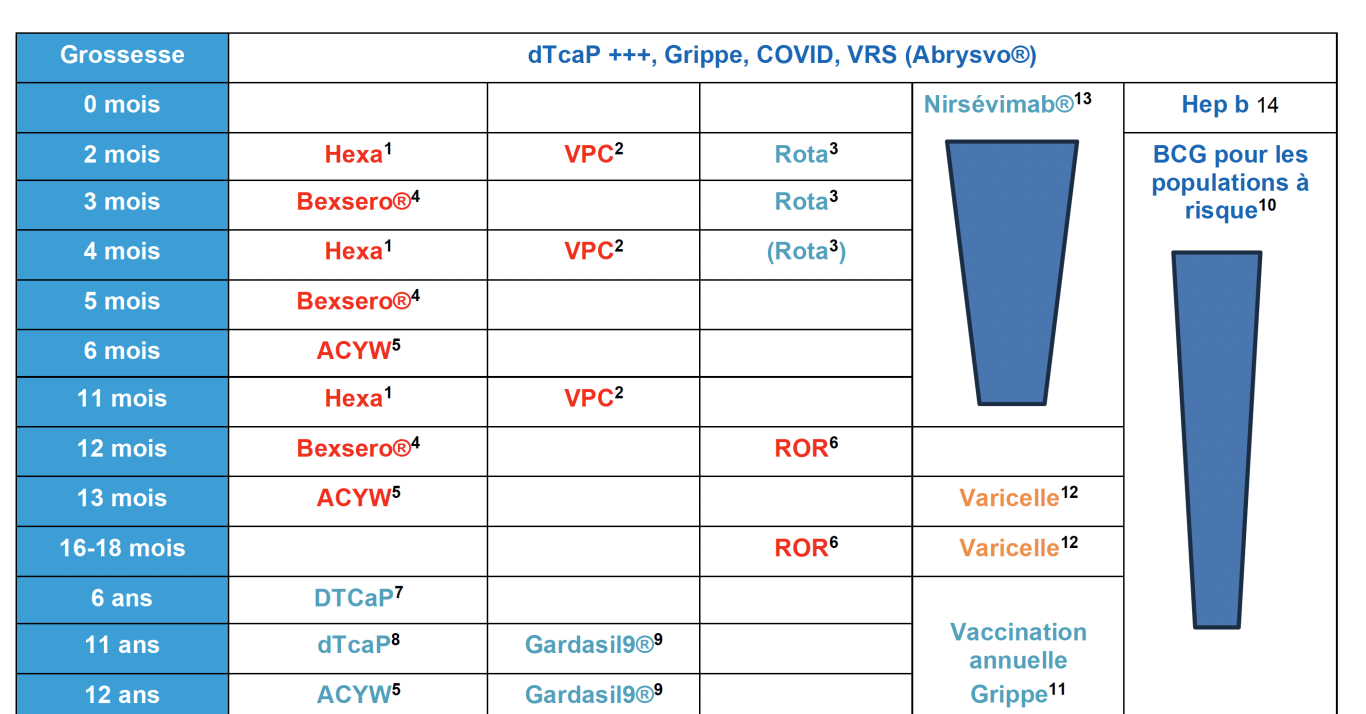 Calendrier vaccinal InfoVac 2024