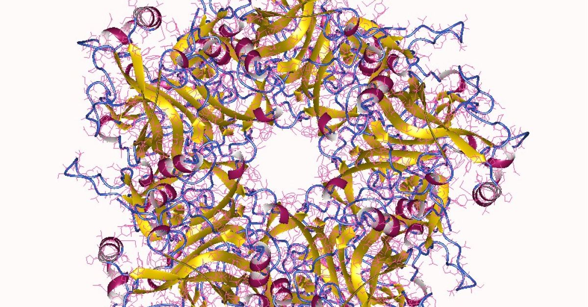 Eradiquer les cancers dus aux papillomavirus (HPV)