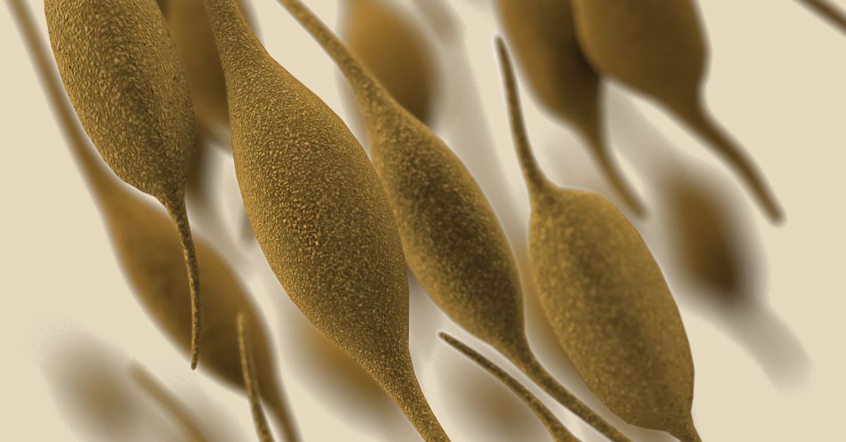 Bulletin Supplémentaire N°11 - Novembre 2023 - Mycoplasma pneumoniae