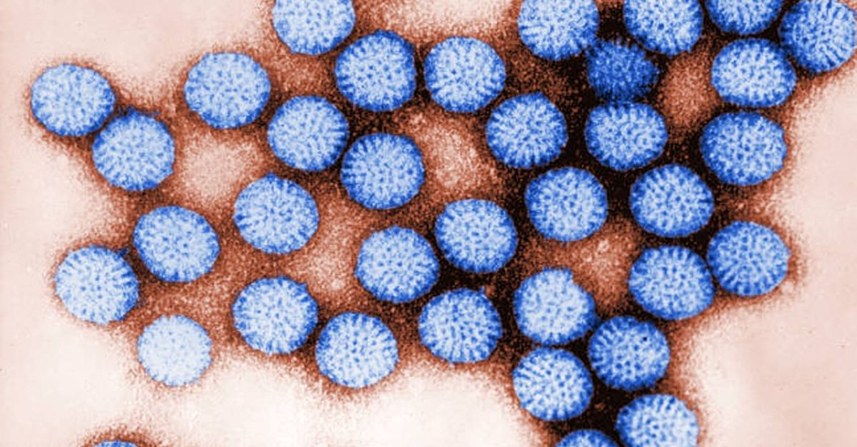 Bulletin Spécial Vaccins Rotavirus 2022 : Foire aux Questions (FAQ)