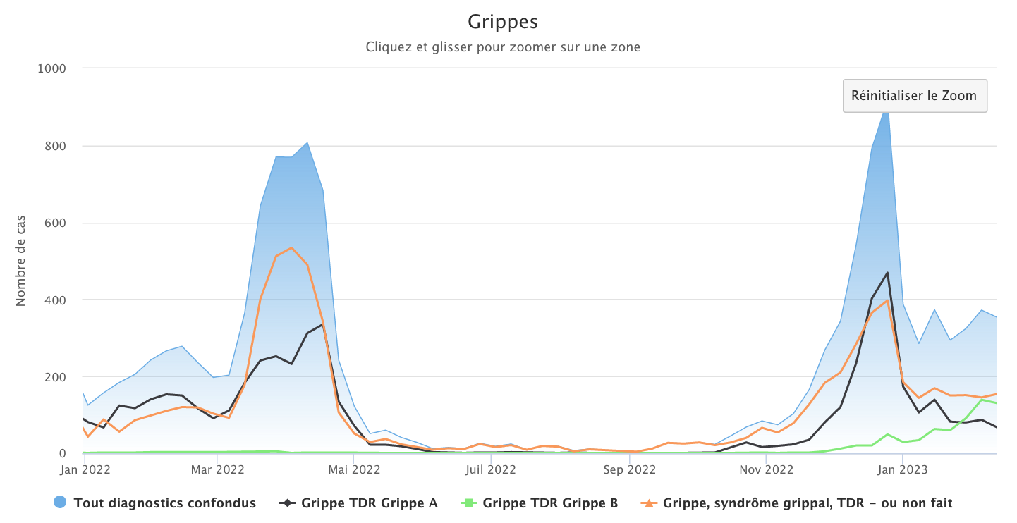 Grippe 130223