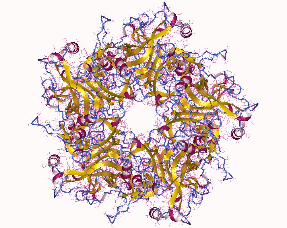 Eradiquer les cancers dus aux papillomavirus (HPV)