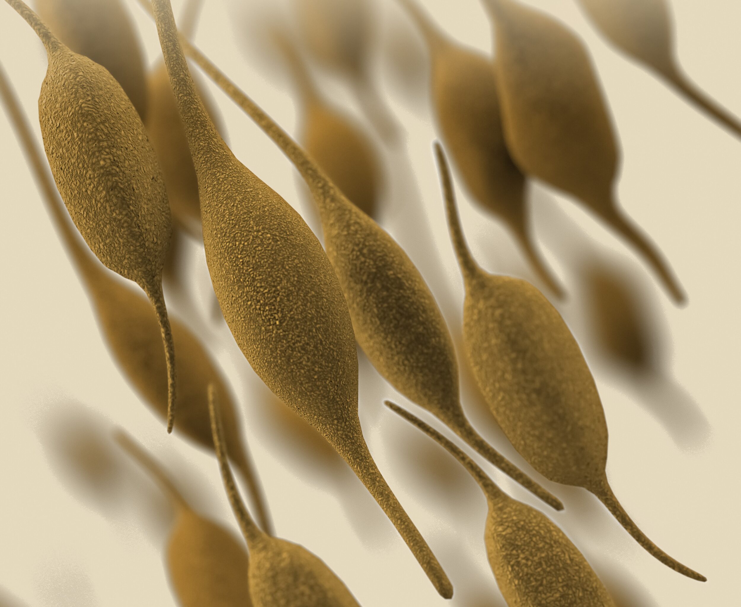 Bulletin Supplémentaire N°11 - Novembre 2023 - Mycoplasma pneumoniae
